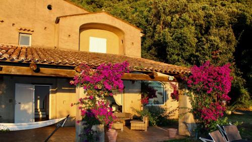 Cersuta Villa | San Biagio Lodges Maratea in Cersuta