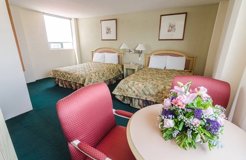 Irapuato Hotel | San Francisco Business Class