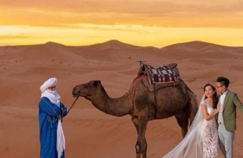 Taouz Other | Sand Dunes Luxury Camp