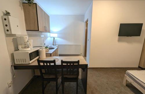 Tirgu Mures Apartment | Sandor Central Studio Apartment