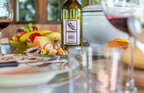 Abbadia di Montepulciano Apartment | Sangiovese - Villetta nella campagna toscana