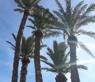Els Arenals del Sol Apartment | SANGRIA