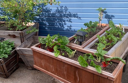 Ocean Park Apartment | Santa Monica Garden Beach Bungalow - Private, and Steps from the Sand