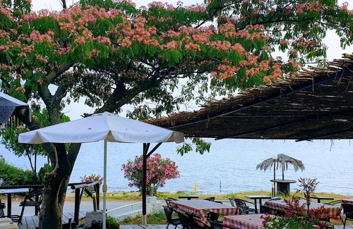 Pangaio Apartment | Santa Nera Beach Apartment