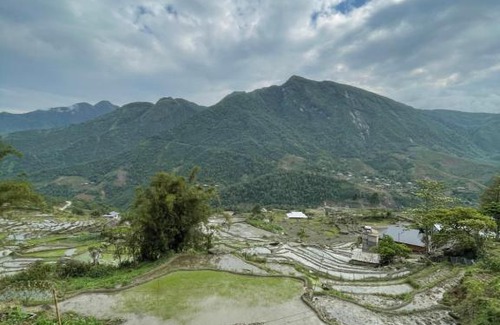 Hau Thao Bed & Breakfast | Sapa Mushroom Homestay