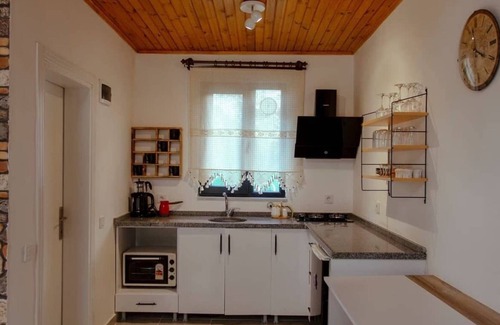 Yanik Villa | Sapanca Yanık da 1+1 Isıtma Havuzlu-Jakuzili-Şömineli- 4 Kişilik Bungalov