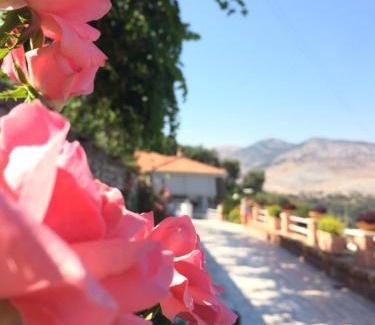 Lukove Apartment | Saranda Landscape