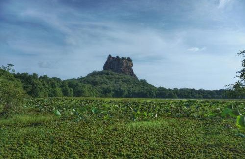Sigiriya Bed & Breakfast | Sashini Homestay