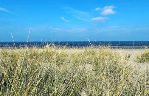 Municipality of Zandvoort Apartment | SATORI LODGE near the Dunes & the Beach