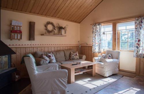 Lofsdalen House | Sauna | Wi-Fi | EV Dock | Pets allowed