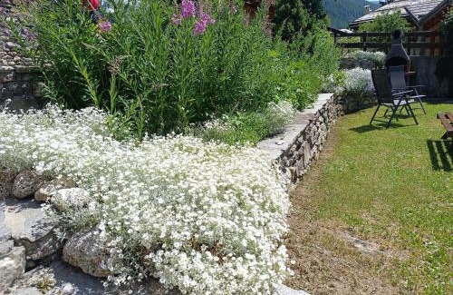 Sauze d'Oulx Apartment | Sauze d'Oulx ciabot la garitüla with garden - wifi- close to the chairlift
