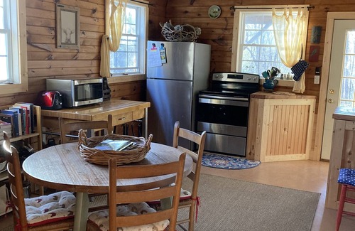 Mill Spring Cabin | Sawmill Cabin - 8 miles to TIEC