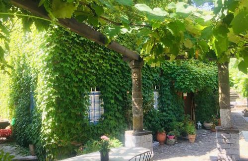 Papigo House | Saxonis Houses & Saxonis Villa
