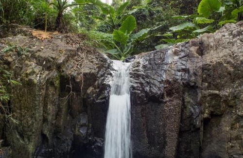 Morong Apartment | SAYA Nest Self-Service Home in Rainforest Nest with Kitchen - Monkeys, Bats, Pet Friendly with a Fee