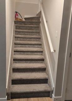 Northeast Edmonton House | Sazzy Exotic Suite
