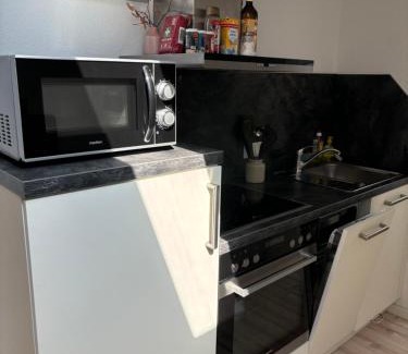 Herbertingen Apartment | Schöne, große Ferienwohnung direkt am Donauradweg & Keltenstadt Heuneburg