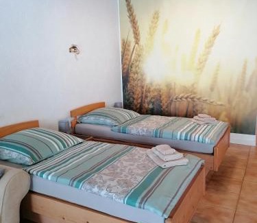 Burgstaedt Apartment | Schöne Wohnung im Herzen von Burgstädt