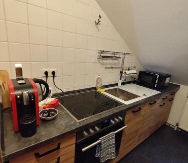Friedrichshofen-Hollerstauden Apartment | Schöne Wohnung zentral Ingolstadt