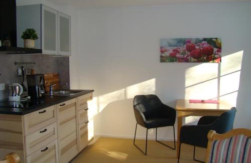 Forbach Apartment | Schönes Doppelzimmer mit separater Wohn-Küche im nördlichen Nationalpark Schwarzwald