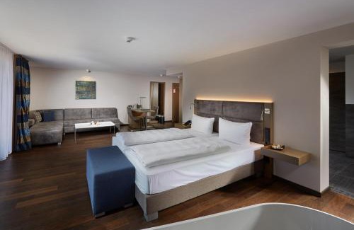Munzingen Hotel | Schloss Reinach