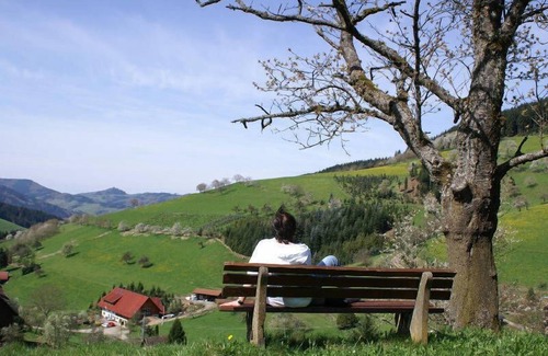 Zell am Harmersbach Apartment | Schwalbennest, 20 qm, 1 Wohn-/Schlafzimmer, max. 2 Personen