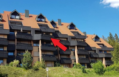 Schonach im Schwarzwald Apartment | Schwarzwaldblick by Interhome