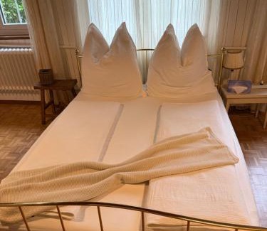 Glarus Sued Apartment | Schweizerhaus Glarus - Historisch & Stilvoll mit Garten