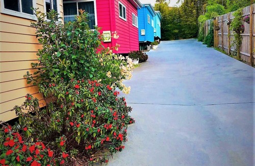 Scotts Head House | Scott's Head Surf Shax Apricot Bungalow #1