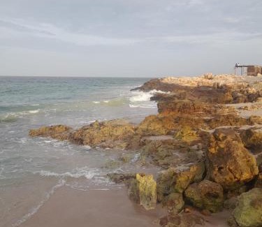 Al Hadd House | Sea Turtles Guest House #2