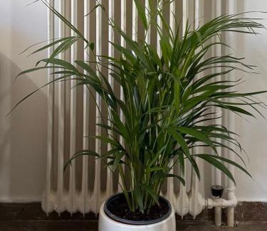 Stylida Apartment | sea view