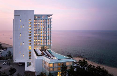 Gangneung Hotel | SEAMARQ HOTEL