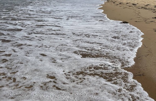 Umina Beach House | Seashells at Umina Beach