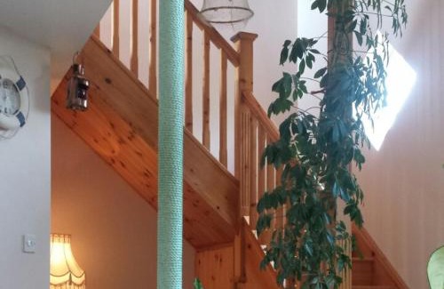 Duncannon Bed & Breakfast | Seashells B&B