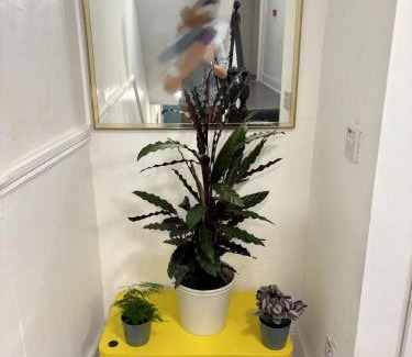 Dun Laoghaire Apartment | Seaside Comfort Apt