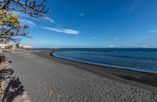 Puerto de Guimar Apartment | Seaside Escape, Pool & Terrace in Puertito Güímar