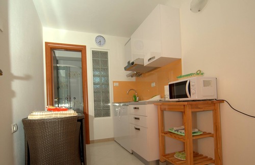 Liznjan Villa | Seaside villa with 1700 m2 of private garden