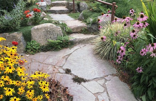 Phinney Ridge Cottage | Secluded Backyard Cottage on Walkable Phinney Ridge