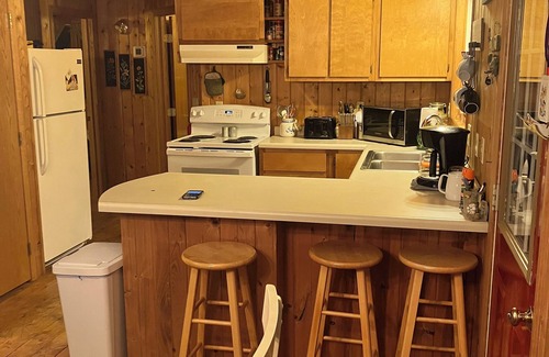Everts Cabin | Secluded cabin on 20 acres of wooded paradise includes pontoon boat