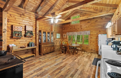 Avoca Cabin | Secluded cabin on creek-Hiking, Fire Pit, Large Yard, Pet Friendly!