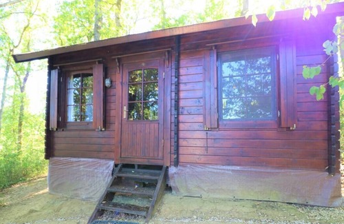 Betcave-Aguin Cabin | Secluded Forest Tiny House with Views