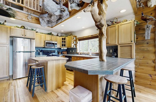 New Meadows House | Secluded hunting lodge with amazing mounted collection, deck & firepit - dogs OK