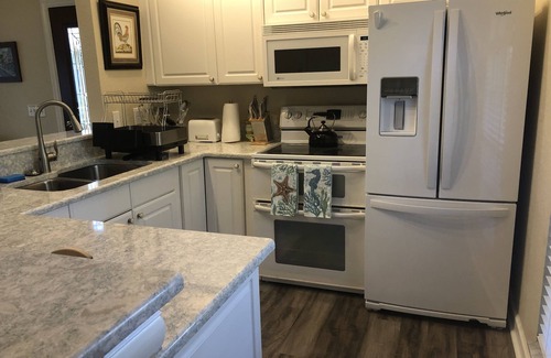 Greater Northdale House | Secluded Lakefront House short drive to Beaches, Busch Gardens, Stadium, Disney