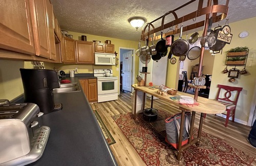 Rogers Cabin | Secluded Large Group Cabin with a Hot Tub and Wi-Fi