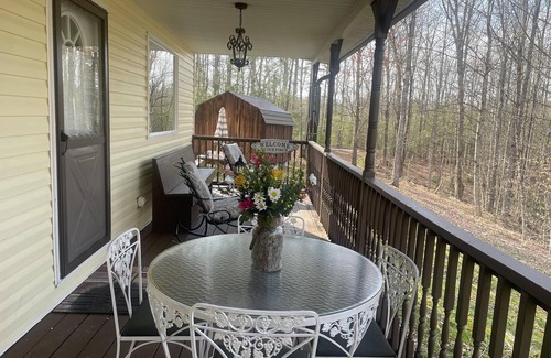 Rogers Cabin | Secluded Large Group Cabin with a Hot Tub and Wi-Fi