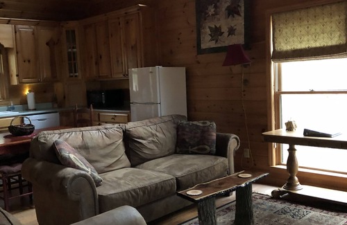 Mineral Bluff Cabin | Secluded Mountain Cabin, Wheelchair/Powerchair Accessible