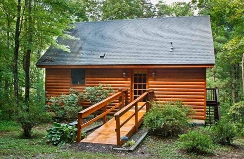 Mineral Bluff Cabin | Secluded Mountain Cabin, Wheelchair/Powerchair Accessible