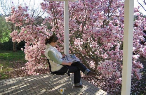 Bundanoon Apartment | SECLUDED, QUIET, PRIVATE "FERNDALE" B&B Farm Stay n5mins to BUNDANOON or EXETER