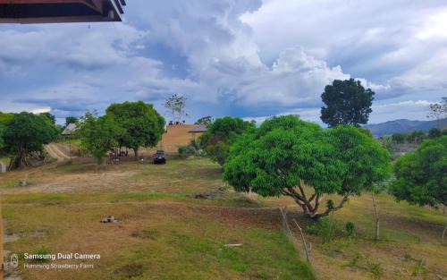 Pulot House | Second Floor Air-conditioned Room on Family Hut Bamboo House