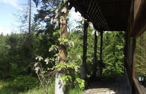 Halfmoon Bay Resort | Secret Cove Cottage Suites