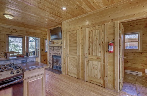 Pagosa Springs Cabin | See Fall's Changing Colors! Riverfront Cozy Cabin, Gas Fireplace, Pet-Friendly, Close to Downtown!